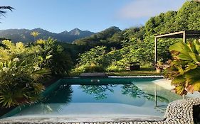 Te Fiti Island Break Pension